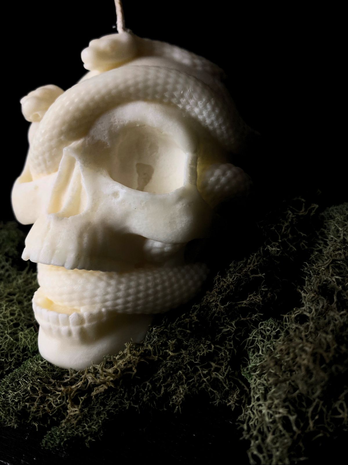 Skull Candle